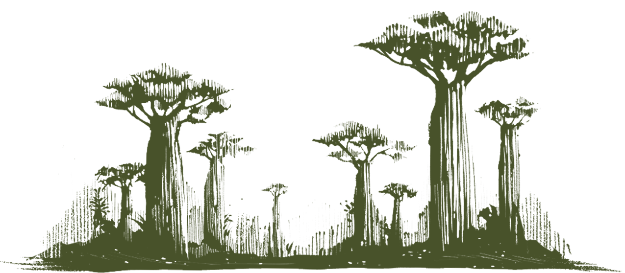 Baobab frieze